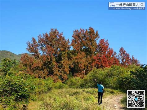 香港山嶺排行榜|【一起行山闖蕩去】 全港最高50山峰